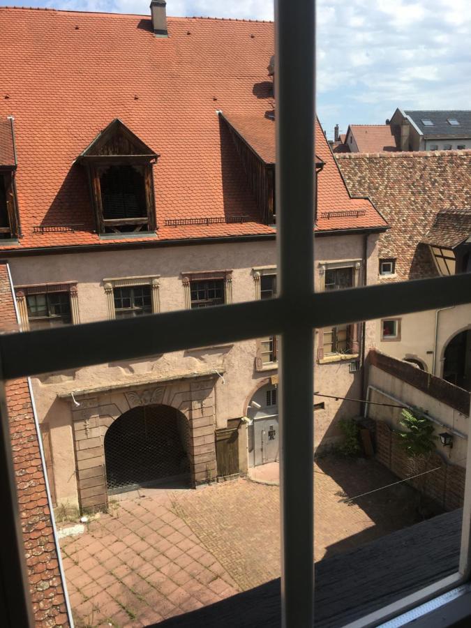Centre Historique Colmar La Collegiale Resort Exteriör bild